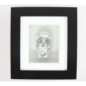 obraz Silver Skull In Frame - B0330B4